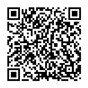 三姨娘也就是二小姐的姨娘因为不得王爷的喜爱所以一向不爱出院子二维码生成