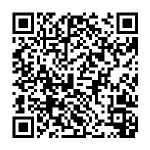 三林月牙草……珍稀雪贝玉髓……续骨丹……纳气丹……七绝毒蛇胆……二维码生成