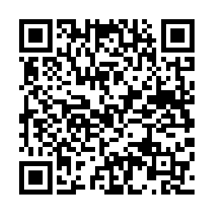 三皇子已经完全被南南稚嫩的声音惊得忘记了自己的初衷了二维码生成