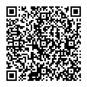 三眼会曾经在斯拉夫人中潜伏的家族和豢养的那些政客走狗们一个个被厄尔奇达用铁血手段铲除二维码生成