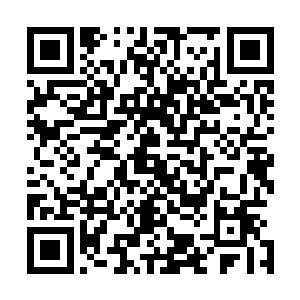 三眼蝰蛇的智力可是不低的……一般的蟒蛇或许会完全整吞二维码生成