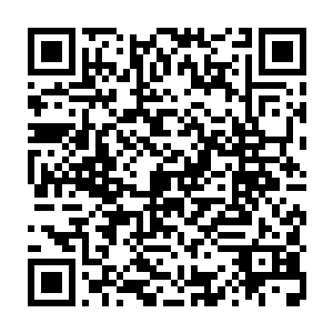 三阶武王的实力就算控制在七阶武师的力量战斗他的战技也不会因此改变二维码生成