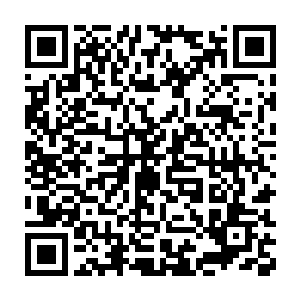 上一个在王爷面前耀武扬威的那位北戎王子听说现在还没恢复神智呢二维码生成