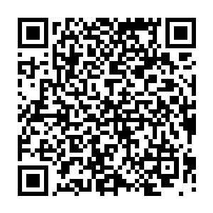 上一次交手的时候楚旬等人可是付出了不少的代价和努力才能战胜他们的啊二维码生成