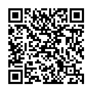 上一次得到了一棵被王母娘娘视为生命的九千年蟠桃树一棵二维码生成