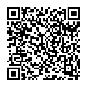 上一次我去岭南那边当时还联系了一个规模比林锦记规模更大的项目二维码生成