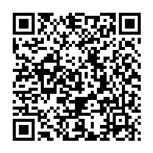 上到严老将军下到管家什么的对会试上该准备什么也都不是很清楚二维码生成