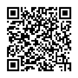 上午从店小二的口中得到萧家家主和大长老突然重伤的消息二维码生成