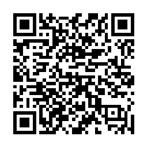 上半场的拍卖会经过短暂而紧张的角逐之后已经结束了二维码生成