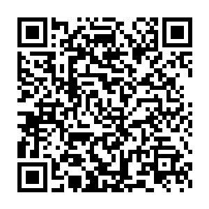 上映的日子……这两部影片的票房让对家很不舒服了……六大的人二维码生成