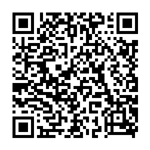 上次你的那张照片可是在繁花之星选美大赛上得到了优秀的评价呢二维码生成