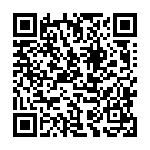 上次听我妈说……佟亚阿姨最近一直在忙着帮你介绍对象二维码生成