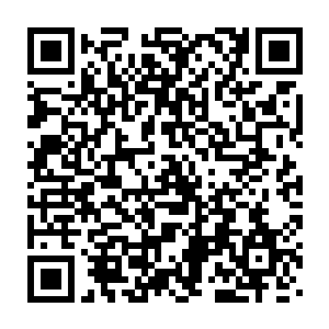 上次在医院门口出现的那两个西装男再次神不知鬼不觉地冒了出来二维码生成