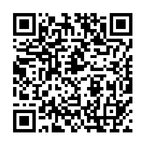 上次在将军山她倒是真没怎么注意秦风的穿着和耀眼的将星二维码生成