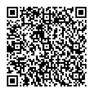 上次在百草堂的时候我们见面的时候他跟天狼帮的杜紫藤起冲突的时候我从他身上感受到了一股令我二维码生成