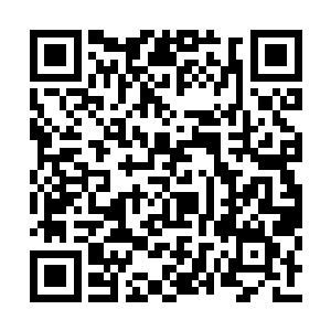 上次试镜的时候因为没有开封行李所以穿得简单二维码生成