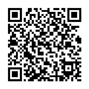 上次那林会长不就是让他去参加香港这些什么玄学交流会吗二维码生成