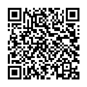 上海新闻电视台长刘实为正在看着这两天陆续接到的几段视频二维码生成
