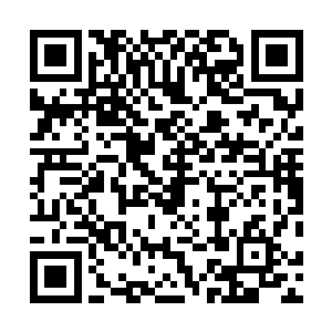 上界与我一战……若不然……上界与你有关者……杀无赦二维码生成
