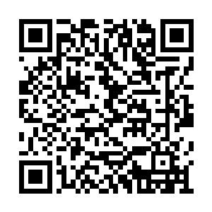 上至学校校长钟德意下至学校里面的每一位老师二维码生成