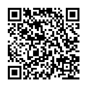 上课前每名学员倒是又领到一本装修设计专业的教材二维码生成