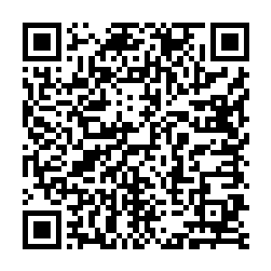 上闭着双眼已经沉睡了许久许久的男人眼睫毛在那一刻微微地动了一下二维码生成