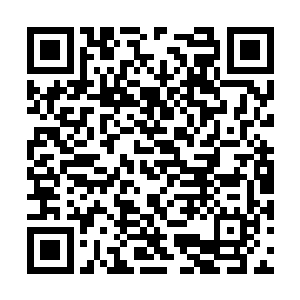 上面的大人物们也在商议此次天才大会的举行程序二维码生成