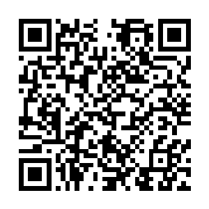 上面给我们的任务是一天之内必须将这里的几个钉子户撵走二维码生成