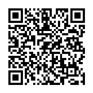 上面记录了咱们山门里面所有的花卉植物的特性和生长习性二维码生成