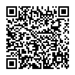 下一刻主席台上的大型屏幕中出现了一个跟他们看上去类似的人形生物二维码生成