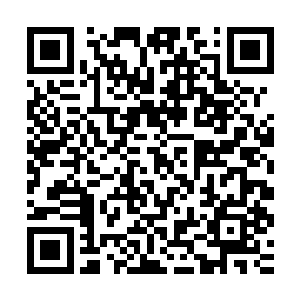 下一刻就见那七绝门的无数修者已在爆起的霞光烈焰中翻滚出去二维码生成