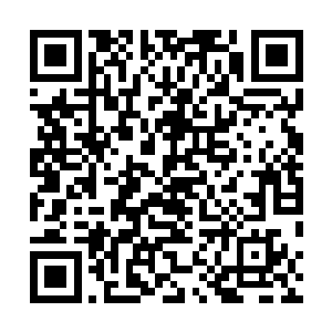 下一刻秦宇的声音犹如惊雷一般炸响让他们浑身一个颤栗二维码生成