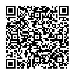 下午的时候内务部长带着一队卫兵挨家挨户上门找了卡布卡市里有头有脸的各路权贵二维码生成