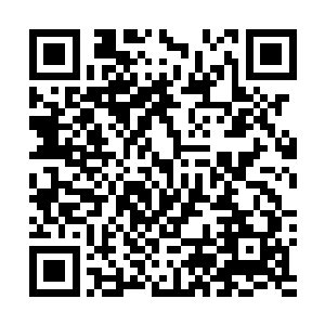 下午逛了那么久的牟晨菲立刻又跟打了鸡血一样璀璨夺目二维码生成