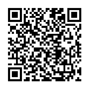 下回可就没那么容易在绿皮慢车上遇到您这样的大师了二维码生成