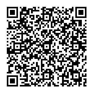 下意识的就把目标全部都放到了洪大力身上――他们决定再问问看看还有没有别的什么好玩的东西……二维码生成