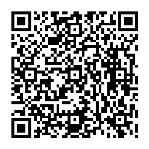 下方一直是各种各样的怪异植物构成的大片树林组成的庞大而看不到边际的植物世界二维码生成