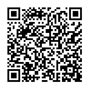 下面一片低沉的吼叫声让树上的几个人毫不怀疑他们一下去就会被撕成碎片二维码生成