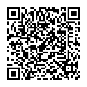 下面众家族子弟这回不敢笑了――这玉如意该不会里面有什么东西吧二维码生成