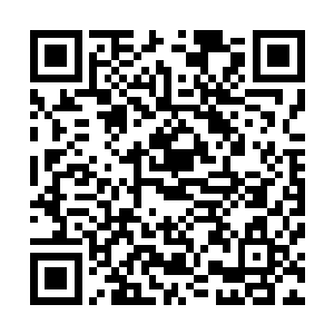 下面则是两名或三名备选演员的照片和简单的一段个人介绍二维码生成