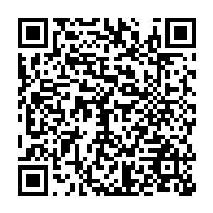 下面正在激战的妖族看到了身上释放着罗天上仙气息的许紫烟和段天涯二维码生成