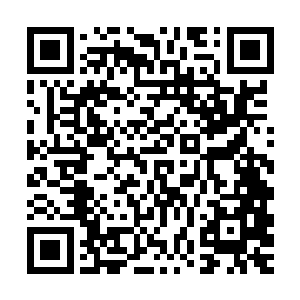 下面还是有请我们的王总为大家介绍这两款芯片的具体技术参数二维码生成