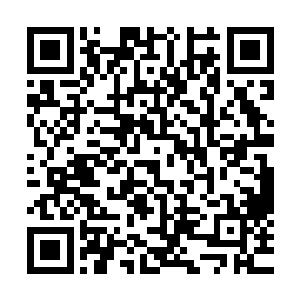 不……不是……是叶天子的……的孽种……叶……叶问天……二维码生成