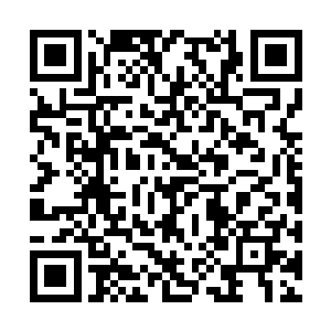 不……我……我没有……零城……我……他们……二维码生成