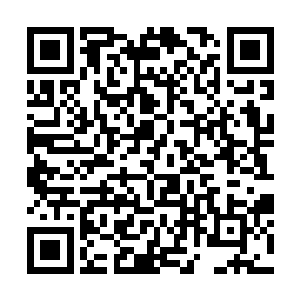 不……我不需要你懂……你赶快走……离开这里……二维码生成