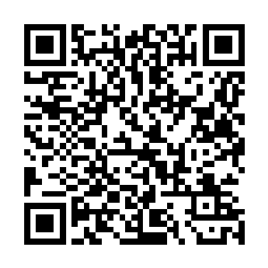 不一会儿在大家匆忙的赶路之中整个上午的时间已经过去了二维码生成