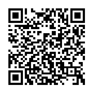 不一会儿献宝似的把厨房里的菜和汤都端出来了二维码生成