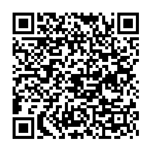 不一会连引雷符都劈不出伤口的蛇身上就被灼出了一个海碗大的伤口二维码生成