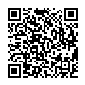 不仅仅是主席台上因为宣布了林烽是新生代表而导致了有些混乱二维码生成