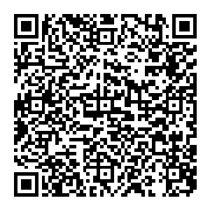 不仅仅是简单的投影 而是用莫大的神通将大山的精魂搬于此处 在用强大的法力打开空间的封锁 将投影化作真正的大山二维码生成